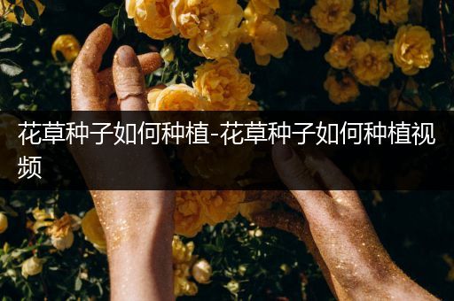 花草种子如何种植-花草种子如何种植视频