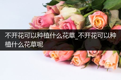 不开花可以种植什么花草_不开花可以种植什么花草呢