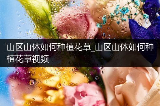 山区山体如何种植花草_山区山体如何种植花草视频