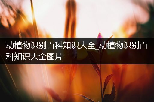 动植物识别百科知识大全_动植物识别百科知识大全图片