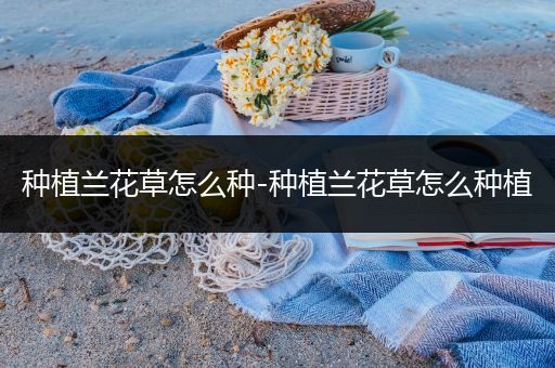 种植兰花草怎么种-种植兰花草怎么种植