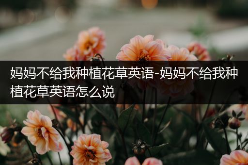 妈妈不给我种植花草英语-妈妈不给我种植花草英语怎么说