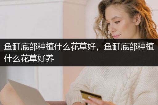 鱼缸底部种植什么花草好，鱼缸底部种植什么花草好养