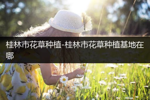桂林市花草种植-桂林市花草种植基地在哪