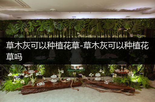 草木灰可以种植花草-草木灰可以种植花草吗