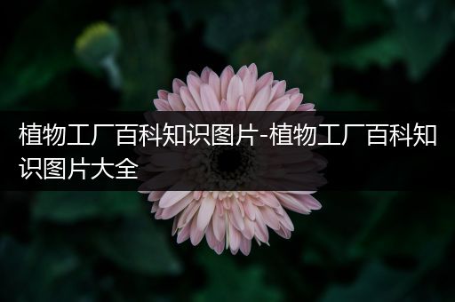 植物工厂百科知识图片-植物工厂百科知识图片大全