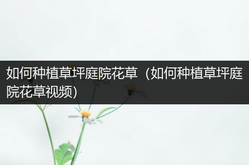如何种植草坪庭院花草（如何种植草坪庭院花草视频）