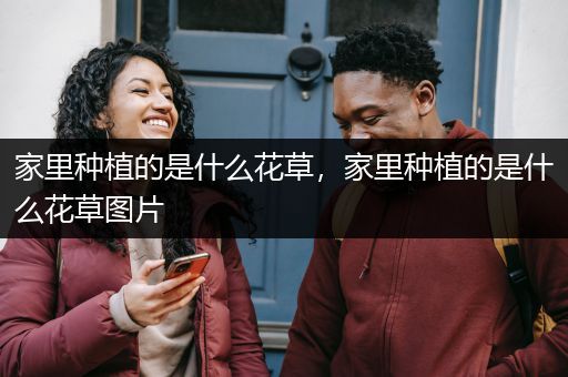 家里种植的是什么花草，家里种植的是什么花草图片