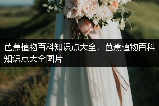 芭蕉植物百科知识点大全，芭蕉植物百科知识点大全图片
