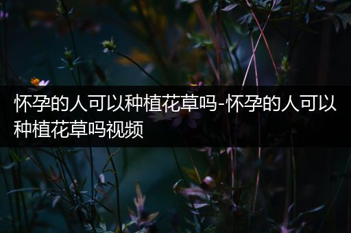 怀孕的人可以种植花草吗-怀孕的人可以种植花草吗视频
