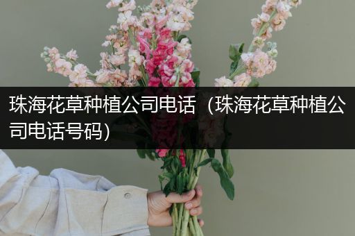 珠海花草种植公司电话（珠海花草种植公司电话号码）