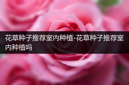 花草种子推荐室内种植-花草种子推荐室内种植吗