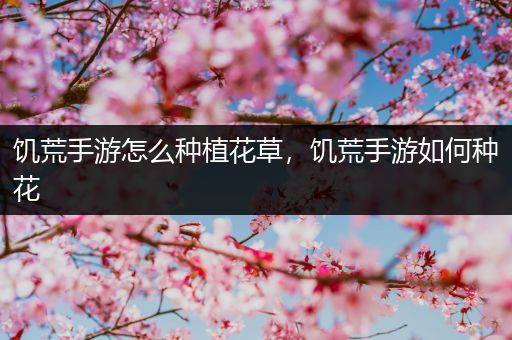 饥荒手游怎么种植花草，饥荒手游如何种花