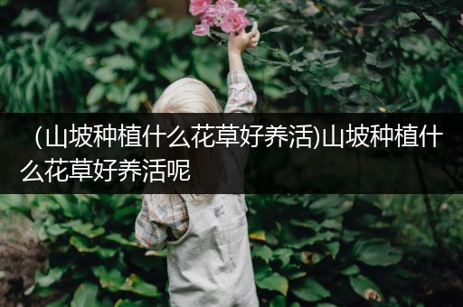 （山坡种植什么花草好养活)山坡种植什么花草好养活呢