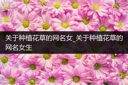 关于种植花草的网名女_关于种植花草的网名女生