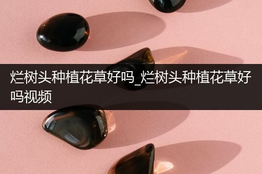 烂树头种植花草好吗_烂树头种植花草好吗视频