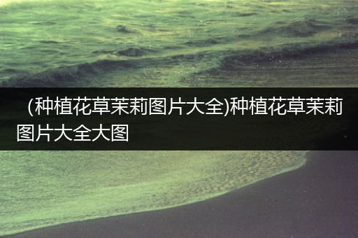 （种植花草茉莉图片大全)种植花草茉莉图片大全大图