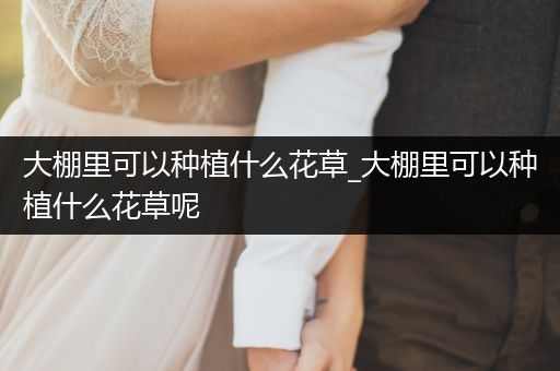 大棚里可以种植什么花草_大棚里可以种植什么花草呢