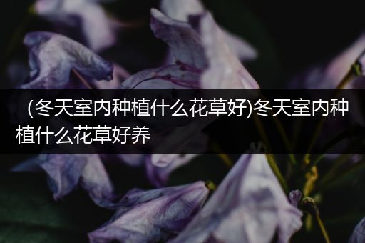 （冬天室内种植什么花草好)冬天室内种植什么花草好养