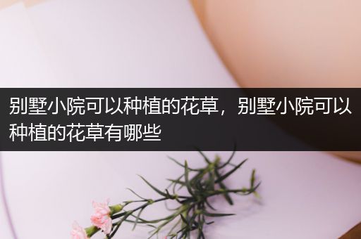 别墅小院可以种植的花草，别墅小院可以种植的花草有哪些