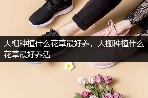 大棚种植什么花草最好养，大棚种植什么花草最好养活