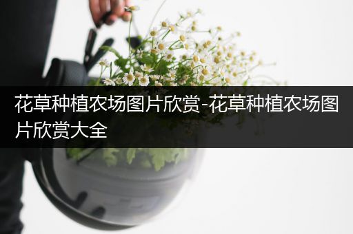 花草种植农场图片欣赏-花草种植农场图片欣赏大全