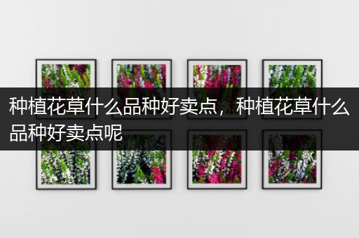 种植花草什么品种好卖点，种植花草什么品种好卖点呢