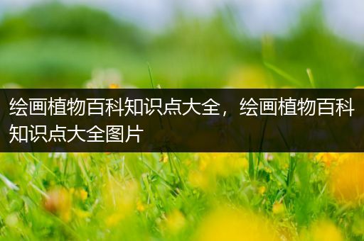 绘画植物百科知识点大全，绘画植物百科知识点大全图片