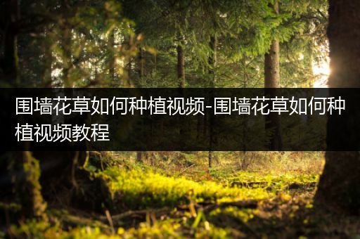 围墙花草如何种植视频-围墙花草如何种植视频教程