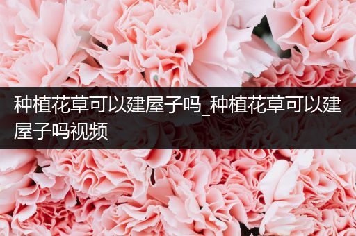种植花草可以建屋子吗_种植花草可以建屋子吗视频