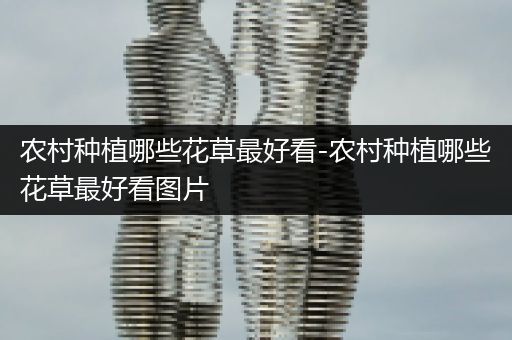 农村种植哪些花草最好看-农村种植哪些花草最好看图片