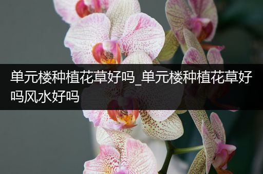 单元楼种植花草好吗_单元楼种植花草好吗风水好吗
