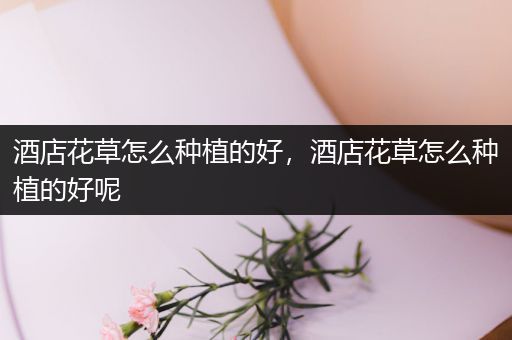 酒店花草怎么种植的好，酒店花草怎么种植的好呢