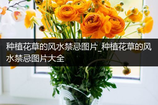 种植花草的风水禁忌图片_种植花草的风水禁忌图片大全