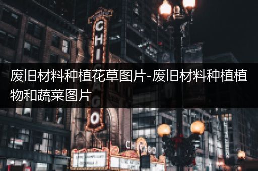 废旧材料种植花草图片-废旧材料种植植物和蔬菜图片