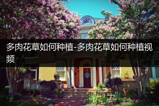 多肉花草如何种植-多肉花草如何种植视频