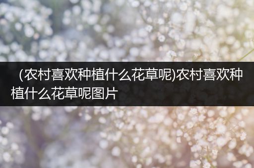 （农村喜欢种植什么花草呢)农村喜欢种植什么花草呢图片
