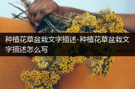 种植花草盆栽文字描述-种植花草盆栽文字描述怎么写