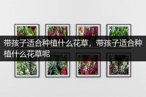 带孩子适合种植什么花草，带孩子适合种植什么花草呢