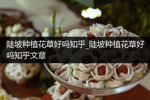 陡坡种植花草好吗知乎_陡坡种植花草好吗知乎文章
