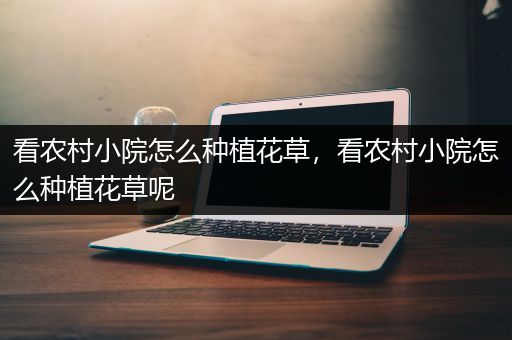 看农村小院怎么种植花草，看农村小院怎么种植花草呢