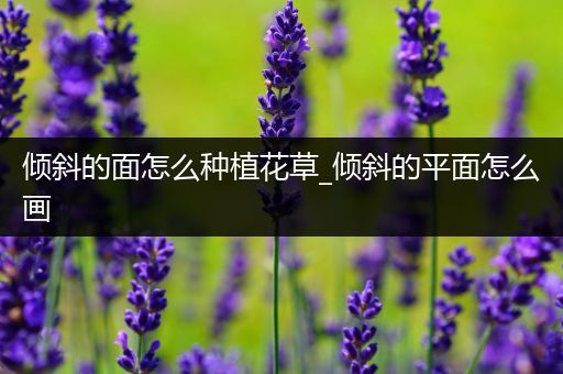倾斜的面怎么种植花草_倾斜的平面怎么画