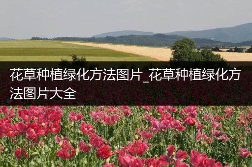 花草种植绿化方法图片_花草种植绿化方法图片大全