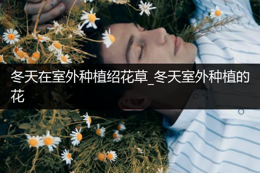 冬天在室外种植绍花草_冬天室外种植的花