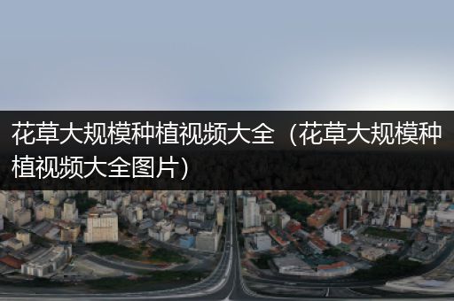 花草大规模种植视频大全（花草大规模种植视频大全图片）