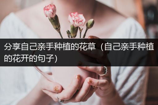 分享自己亲手种植的花草（自己亲手种植的花开的句子）