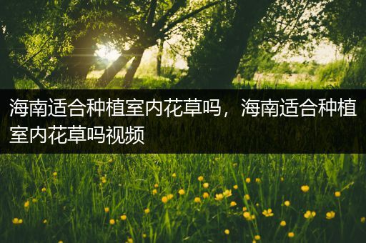 海南适合种植室内花草吗，海南适合种植室内花草吗视频
