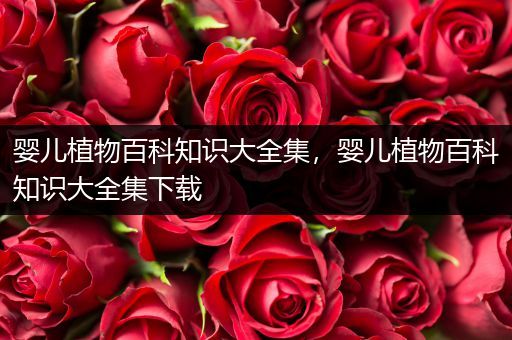 婴儿植物百科知识大全集，婴儿植物百科知识大全集下载