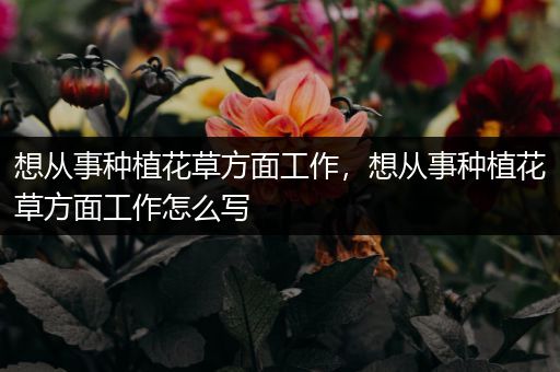 想从事种植花草方面工作，想从事种植花草方面工作怎么写