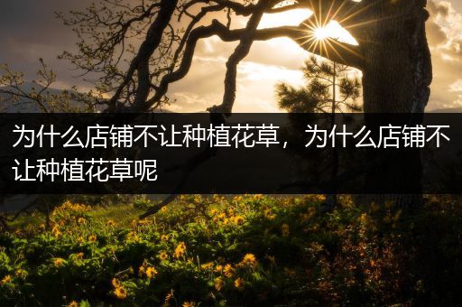 为什么店铺不让种植花草，为什么店铺不让种植花草呢